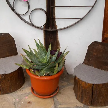 йовчовата къща 別荘 Plachkovtsi